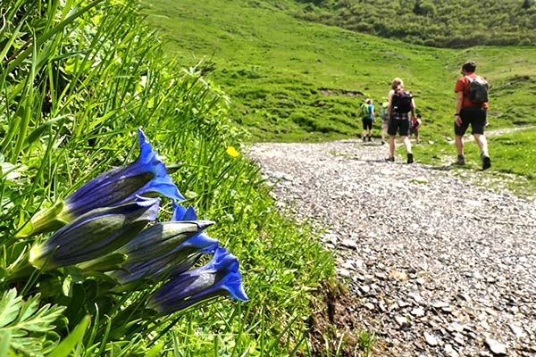 Zainoinspalla Il Racconto Della Gita Un Ampio Anello Alla Piana Di