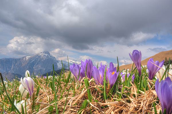 Zainoinspalla Il Racconto Della Gita Anello Al Rifugio San Fermo E